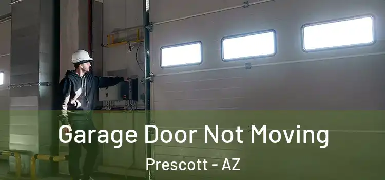  Garage Door Not Moving Prescott - AZ