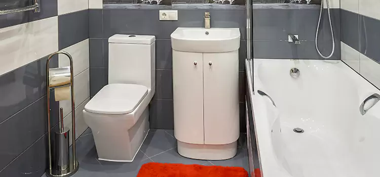 Hansgrohe Shaving Mirror Prescott